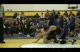 130_trevor_tompson_central linn