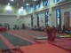 Gym Dog Sneak Peak - Vault - Marcia Newby