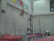 Gym Dog Sneak Peak - Bars - Cassidy McComb