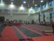 Gym Dog Sneak Peak - Vault - Kat Ding