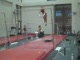Gym Dog Sneak Peak - Bars - Lauren Sessler