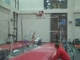Gym Dog Sneak Peak - Bars - Shayla Worley