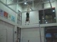 Gym Dog Sneak Peak - Bars - Noel Couch
