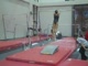 Gym Dog Sneak Peak - Bars - Kat Ding
