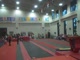 Gym Dog Sneak Peak - Vault - Cassidy McComb