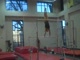 Gym Dog Sneak Peak - Bars - Marcia Newby