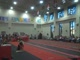 Gym Dog Sneak Peak - Vault - Shayla Worley