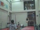 Gym Dog Sneak Peak - Bars - Courtney McCool