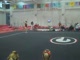 Gym Dog Sneak Peak - Floor - Cassidy McComb