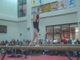 Gym Dog Sneak Peak - Beam - Courtney McCool