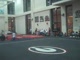 Gym Dog Sneak Peak - Floor - Grace Taylor