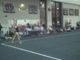 Gym Dog Sneak Peak - Floor - Lauren Johnson
