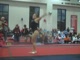 Gym Dog Sneak Peak - Floor - Courtney McCool