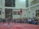 Gym Dog Sneak Peak - Beam - Grace Taylor