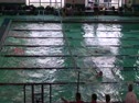 BRHS 200m Butterfly relay 12/05/09 - Swimming video BRHS 200m Butterfly relay 12/05/09