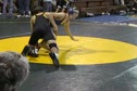 TLD Austin1b