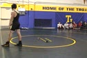 TLD Nick1