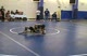 austin 2 (2)