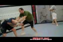 INTRO TO MMA