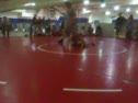 manatee iof 009 - Wrestling video manatee iof 009