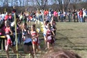 MN state aa CC 09 girls near finish middle of pack runners