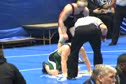 Meisner vs.  Chamish contd