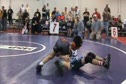 VA DUAL 55 lbs: Team MI (Hamdan) vs. VA Predators (Ashby)