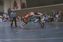 Trent Flegel vs. (Grant)