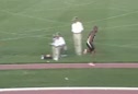 Big 12 Men's Long Jump Hugh Charles (CU) 2