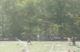 Draper Boys 4x1