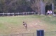 moco championship girls jv under class short moco championship girls jv under class short