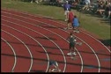 B 4x100  (DII)