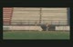Chocolate Milk Mile (**NEW WORLD RECORD)