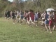 Boys CT State Open