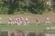 Boys Open Varsity