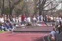 M Steeple