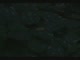 movie trailer
