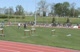 Girls 300 hurdles - Heat 2