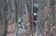 Cat 1 Start H2