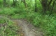 DSG Course View 2