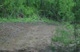 DSG Course View 3