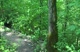 DSG Course View 4