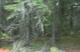 Canada Cup #1 Baie Saint Paul Course View