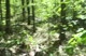 Canada Cup #2 | Mt. Tremblant Course Preview
