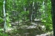 Uncut Bonus Footage | Stefan Widmer & Raphael Gagne Single Track