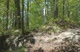 Uncut Bonus Footage | Ben Sonntag DH