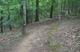 Bump N' Grind Course Sneak Peek