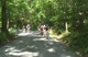 Bump N' Grind Race Teaser