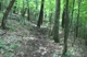 HOO-HA Course View 1
