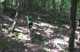 Massanutten HOO-HA Race Video Sneak Preview